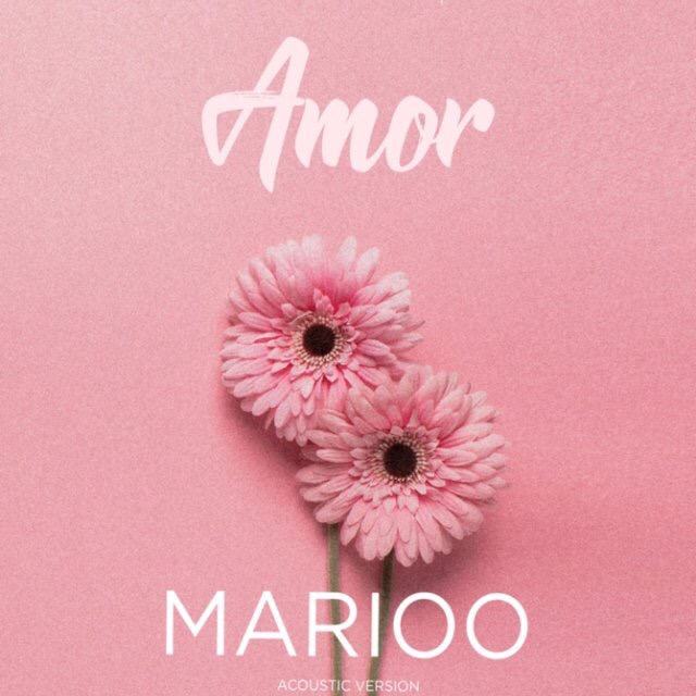Marioo - MI Amor  (Aucostic)