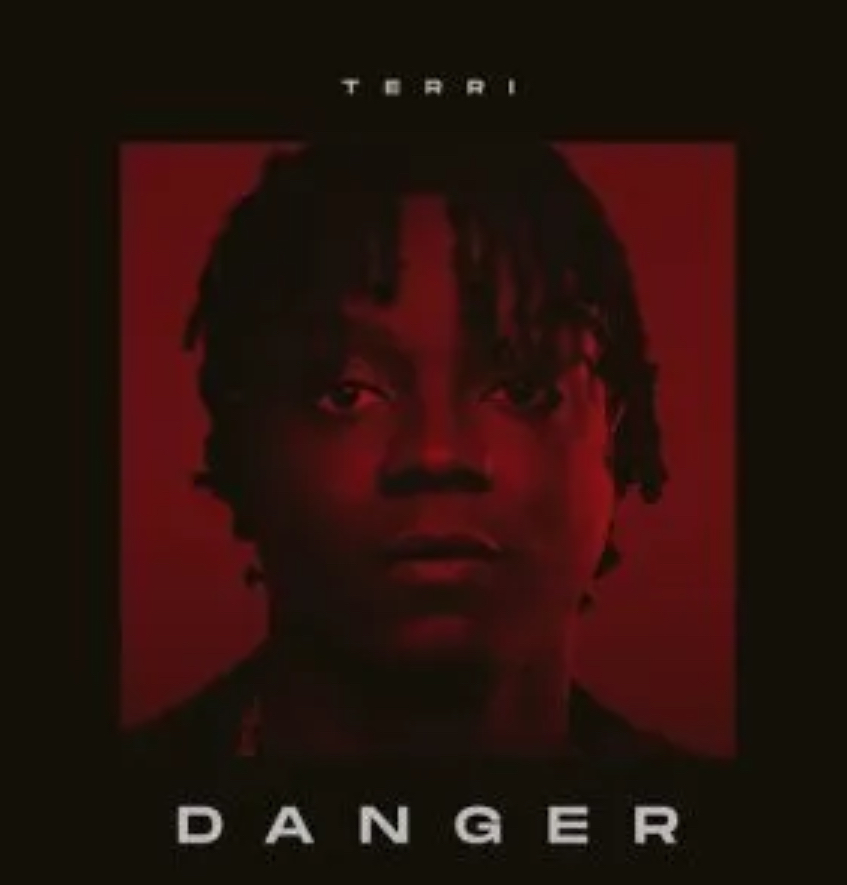 Terri - Danger